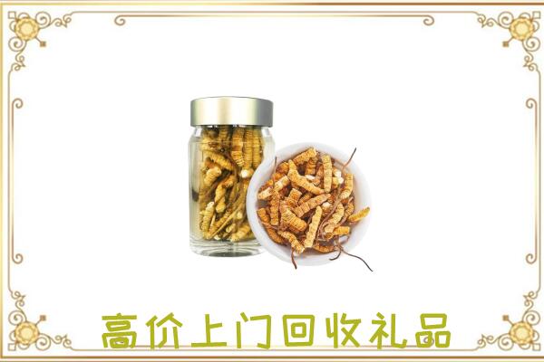 焉耆县周边回收虫草